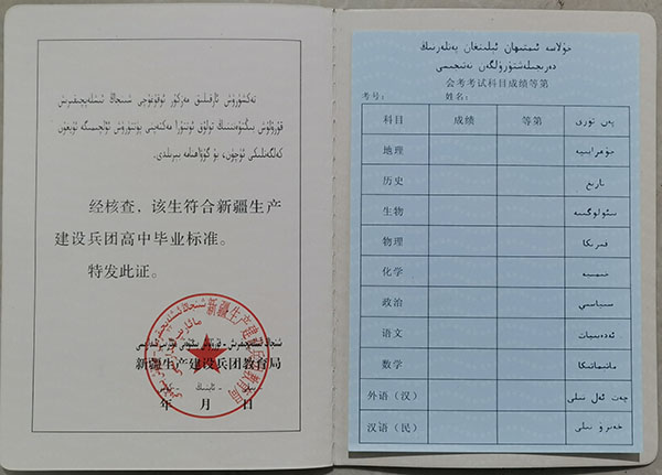 新疆2010年高中毕业证成绩单