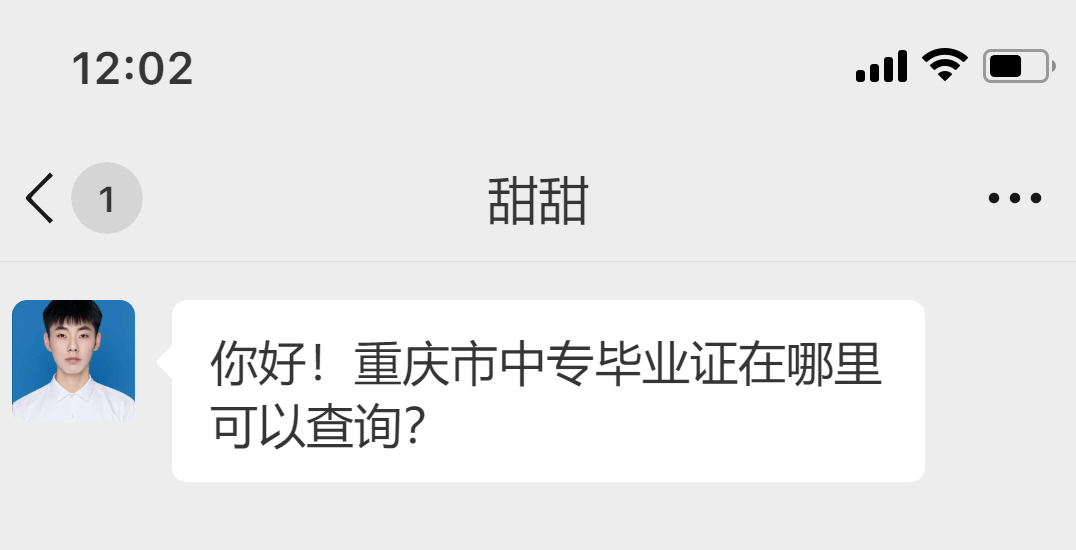 重庆市中专毕业证在哪里可以查询