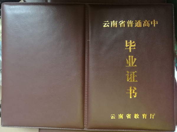 国产 日日夜夜 精品 大理州实验中学毕业证样本