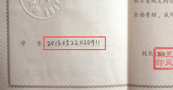 河南省高中毕业证学号如何填写？