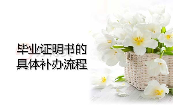 国产 日日夜夜 精品 毕业证丢了需要去哪里才能补办