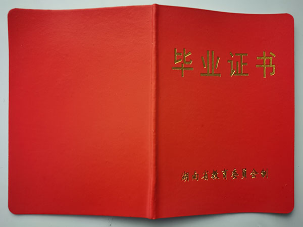 高清无码黄色在线观看 湖南省衡南县高中毕业证样本（高清图）