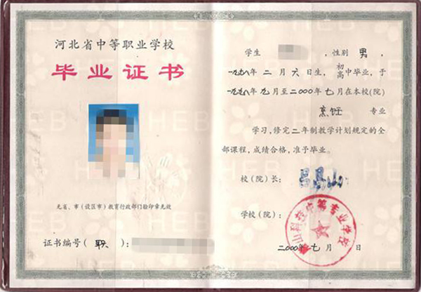 2002年中专毕业证样本、模板参数及遗失补办指南