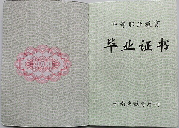 云南省2009年中专毕业证样本
