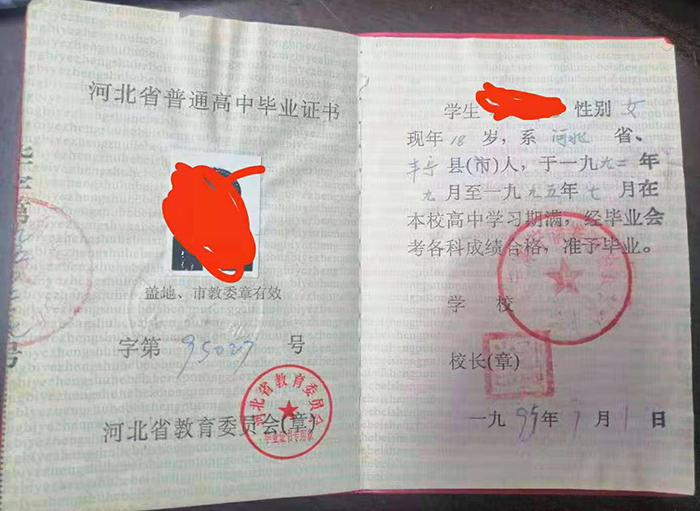 2002年河北省高中毕业证样本的封面颜色是什么？